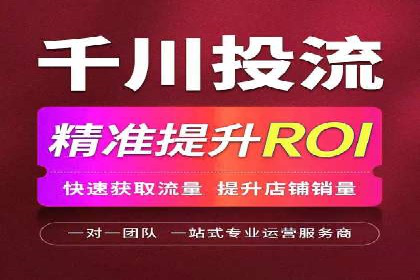 SEM专员案例：数据分析与优化